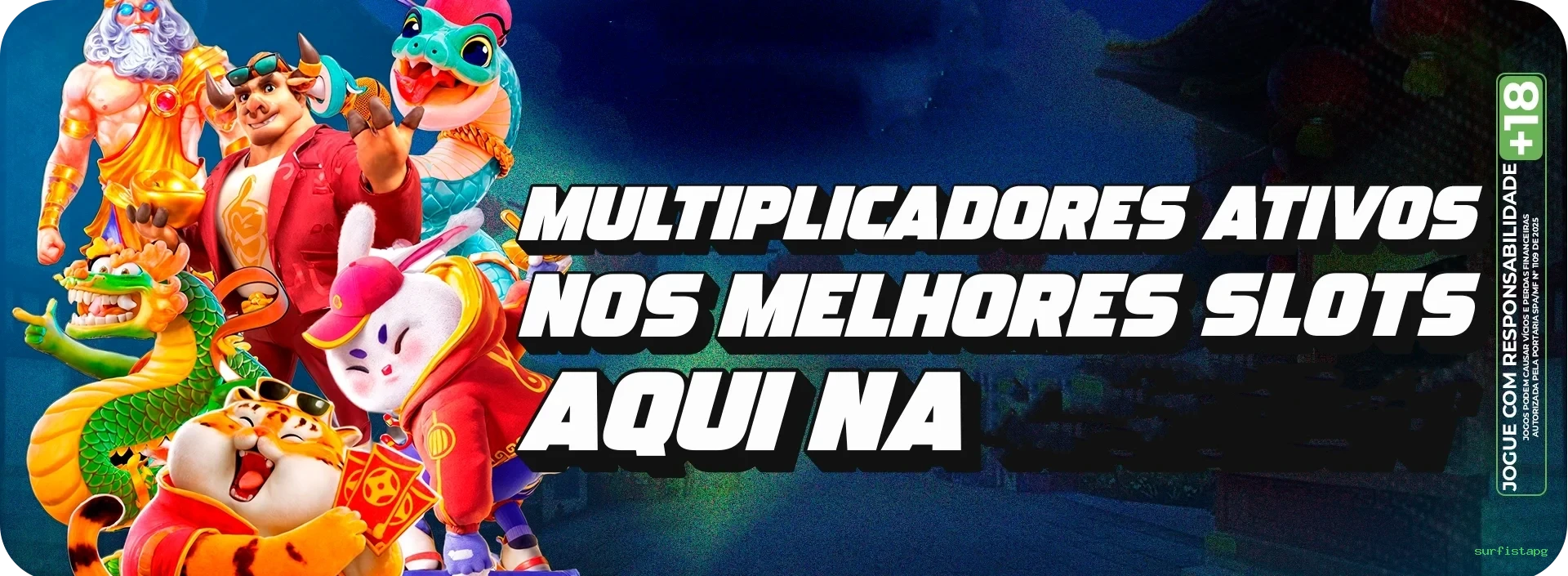 Suporte surfistapg